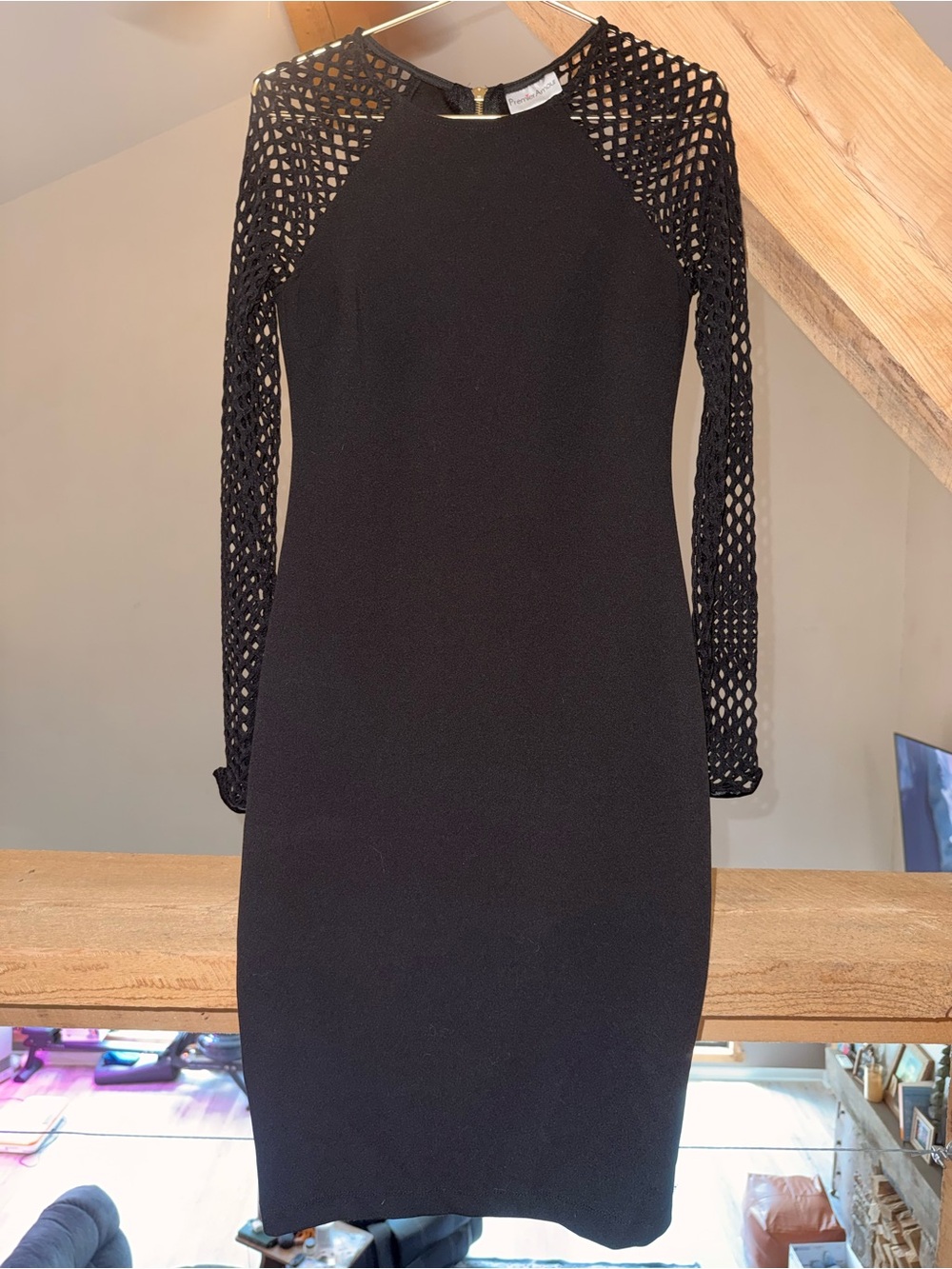 Black Long Fishnet Sleeved Dress with a Sexy Zipper Up the Back